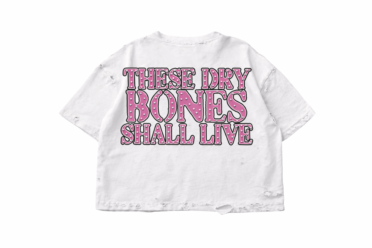 HOLI HOUSE PREMIUM “DRY BONES” T SHIRT